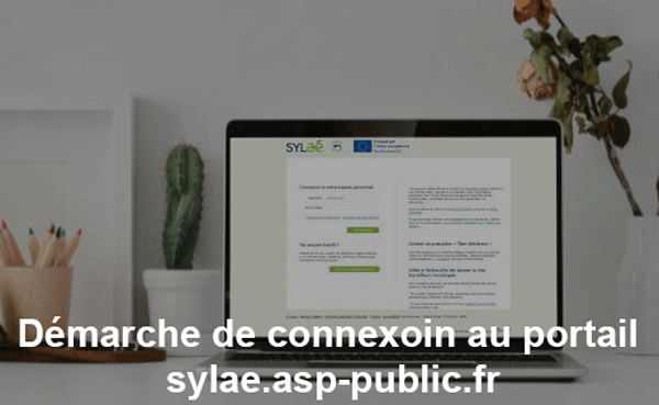 accéder à mon compte SYLAe sur sylae.asp-public.fr